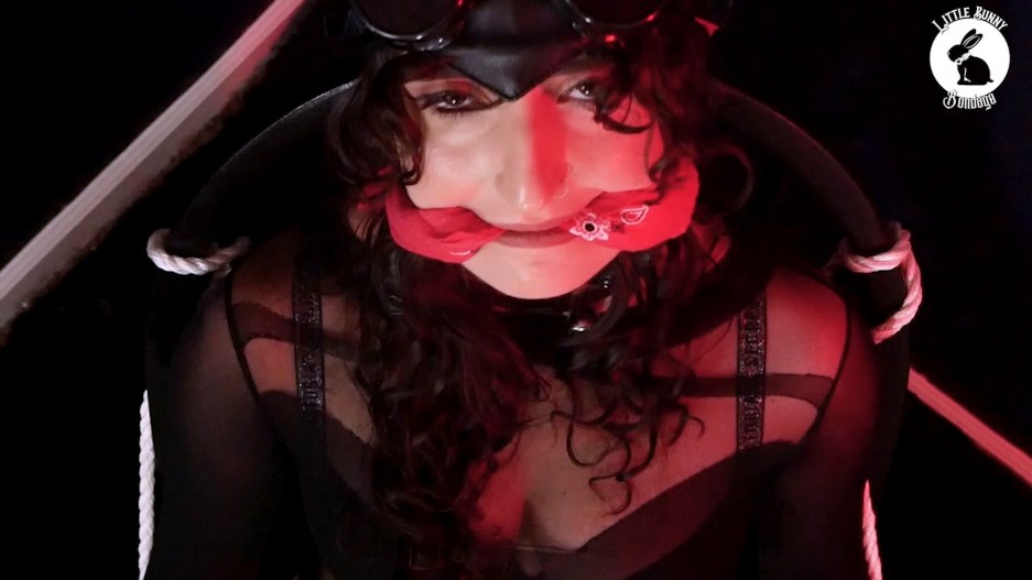 LittleBunnyB - Catwoman Bound and Vibed